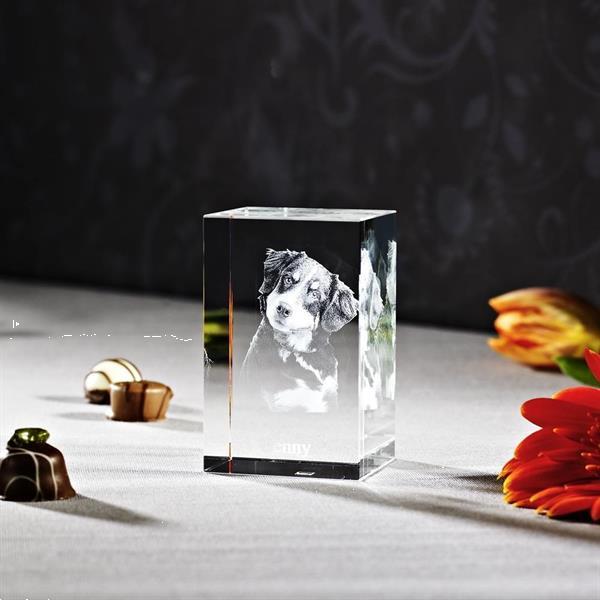 Grote foto 3d foto in glas. model nano antiek en kunst glas en kristal