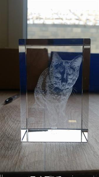 Grote foto 3d foto in glas. model nano antiek en kunst glas en kristal