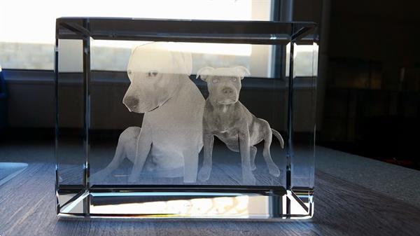 Grote foto 3d foto in glas . model kelo antiek en kunst glas en kristal