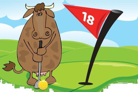 Grote foto boerengolf diversen overige diversen