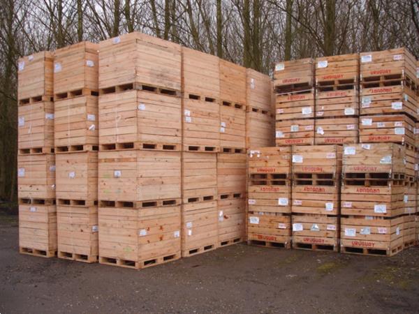 Grote foto kuubskisten paloxen palletkisten palletboxen agrarisch tuinbouw