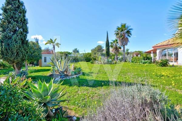 Grote foto bouwgrond met zeezicht costa del sol huizen en kamers kavels europa