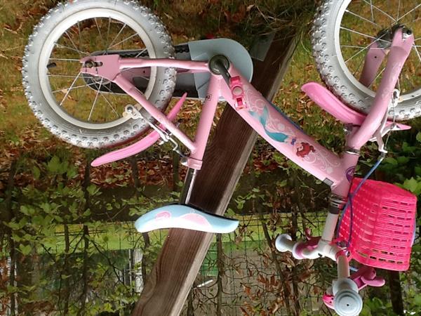 Meisjesfiets Disney Princess 14 Inch Kopen | Kinderfietsen