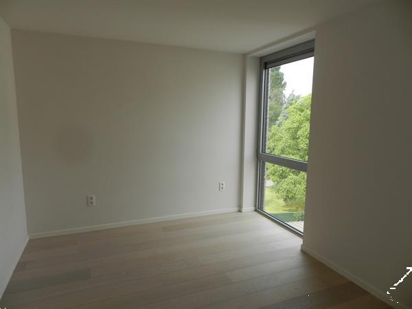 Grote foto appartement te huur bassevelde huizen en kamers appartementen en flat