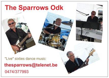 Grote foto dansorkest the sparrows odk muziek en instrumenten orkestbanden
