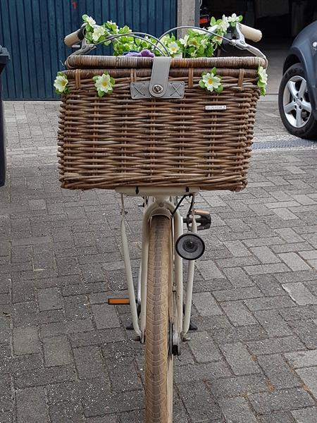 Grote foto batavus diva beige framemaat 56 met mand fietsen en brommers omafietsen