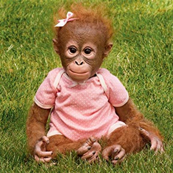 Grote foto reborn aapje annabelle verzamelen poppen