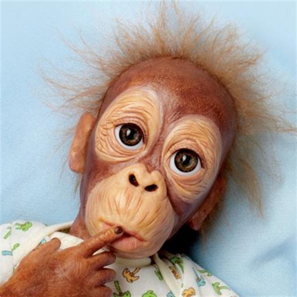Grote foto reborn orang oetan babu verzamelen poppen