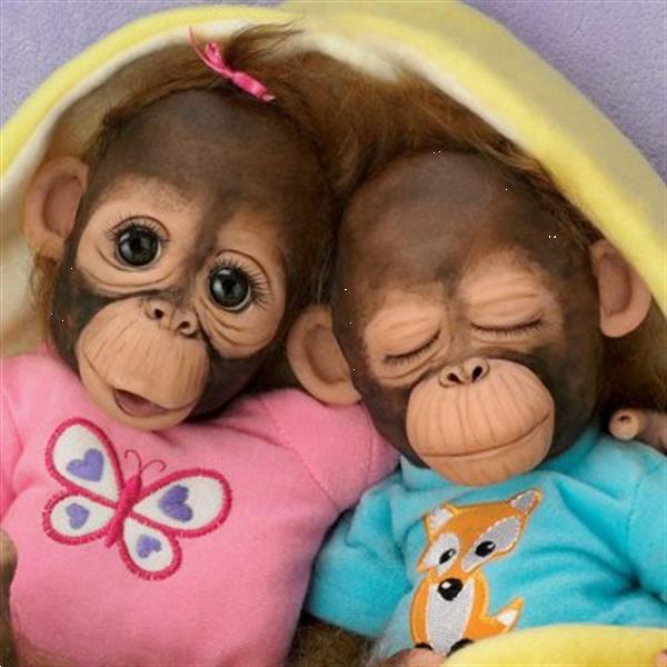 Grote foto reborn aapjes tweeling frankie fiona verzamelen poppen