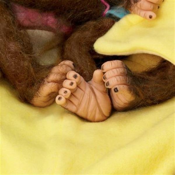 Grote foto reborn aapjes tweeling frankie fiona verzamelen poppen