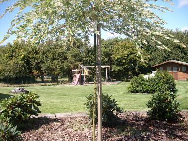 Grote foto vakantiewoning regio houffalize 12p. 5slp. vakantie belgi