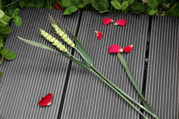 Grote foto composiet houten terrasplanken top kwaliteit tuin en terras tegels en terrasdelen