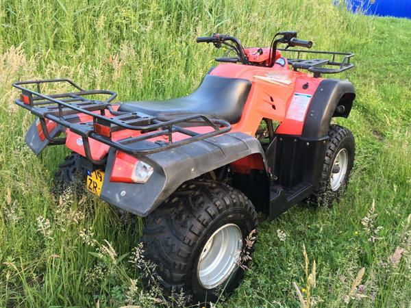 Grote foto yamaha jianshe wildcat 250cc boerderij quad nl ken motoren buggy en quad