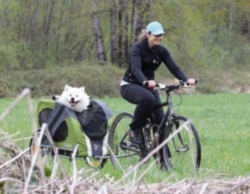 Grote foto hondenfietskar doggyride novel novel 10 fietsen en brommers aanhangers en karren