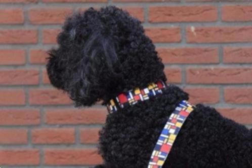 Grote foto honden wandellijnen doggyride dutchdog hond dieren en toebehoren toebehoren