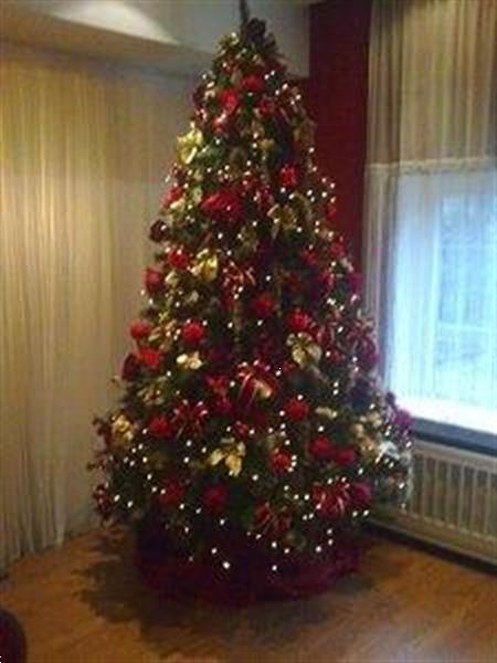 Grote foto de mooiste huur kerstbomen hobby en vrije tijd feestartikelen verhuur