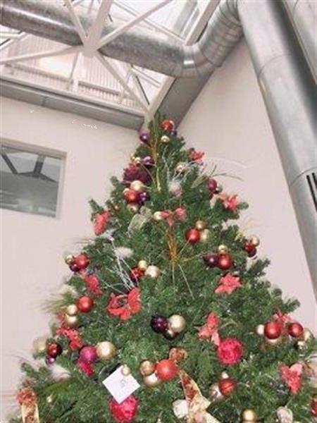 Grote foto geniet van onze kerstboom verhuur huis en inrichting kamerplanten en bloempotten