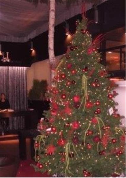 Grote foto kerstbomen voor ondernemingen te huur diensten en vakmensen entertainment