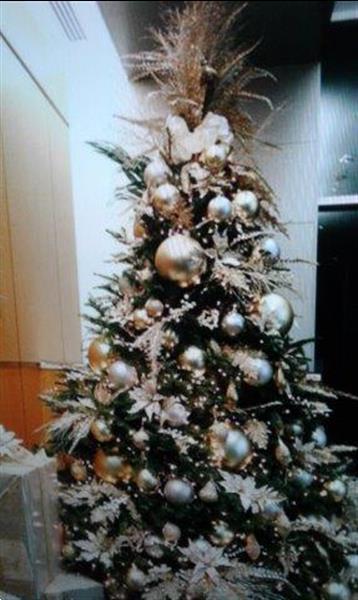 Grote foto versierde kerstbomen levering aan bedrijven ea diensten en vakmensen kerst