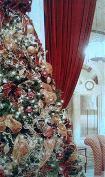 Grote foto versierde kerstbomen levering aan bedrijven ea diensten en vakmensen kerst