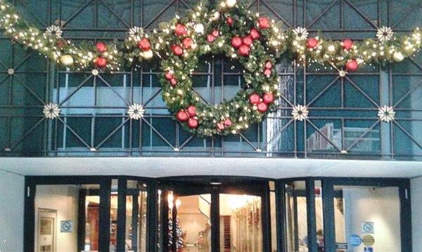 Grote foto versierde kerstbomen voor openbare gebouwen diensten en vakmensen aannemers