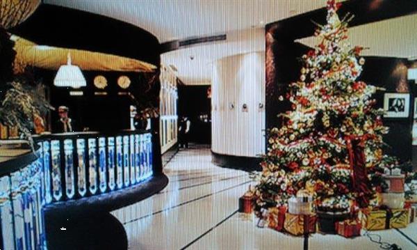 Grote foto versierde kerstboom huren kerstbomen verhuur diversen versiering