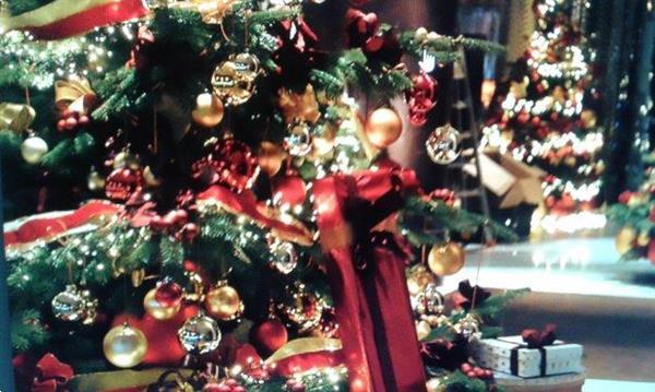 Grote foto huur een versierde kerstboom de groene boulevard diensten en vakmensen feesten