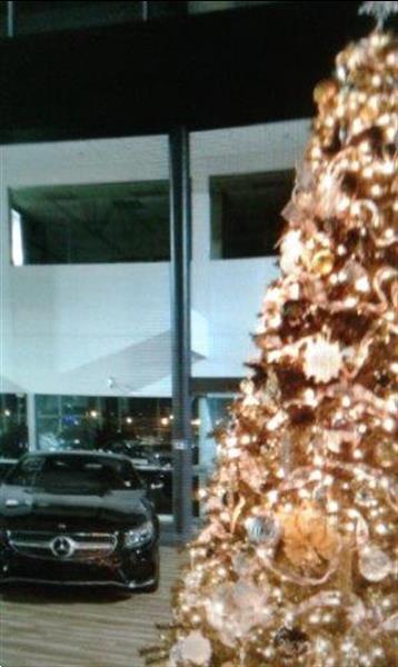 Grote foto huur een versierde kerstboom voor uw bedrijf diensten en vakmensen bedrijfsuitjes