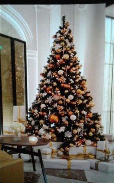 Grote foto huur een versierde kerstboom voor uw bedrijf diensten en vakmensen bedrijfsuitjes