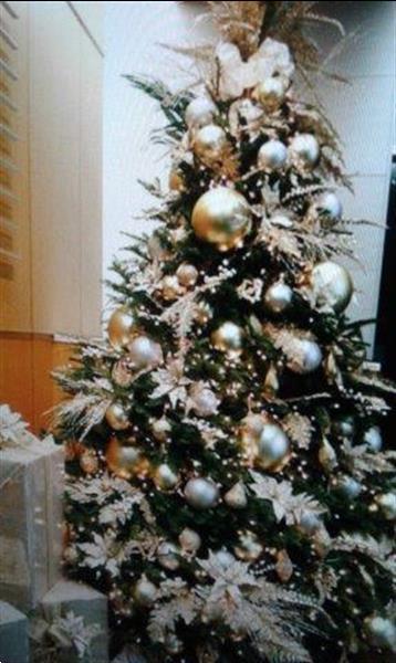 Grote foto huur een versierde kerstboom voor uw event diensten en vakmensen catering