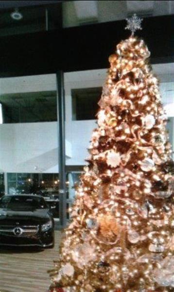 Grote foto huur een versierde kerstboom huren voor je feest diensten en vakmensen partytenten