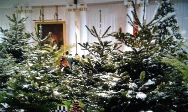 Grote foto versierde kerstboom huren feest...huur kerstboom diensten en vakmensen catering