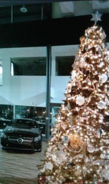 Grote foto levering van versierde kerstbomen huur kerstboom diversen kerst