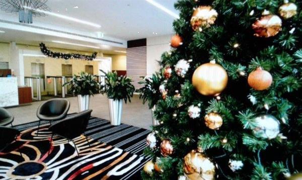 Grote foto versierde kerstbomen openbare gebouwen geleverd diversen kerst