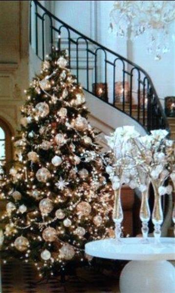 Grote foto versierde kerstbomen openbare gebouwen geleverd diversen kerst