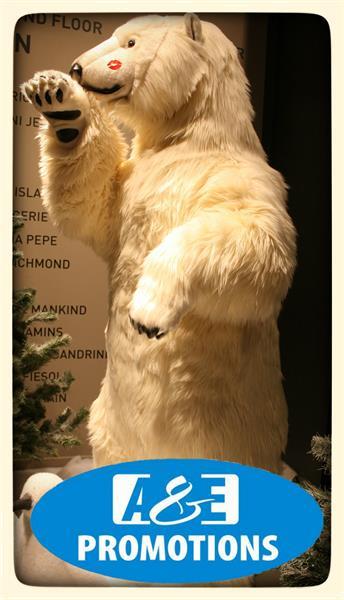 Grote foto ijsbeer bewegend verhuur vlaanderen brabant diversen kerst