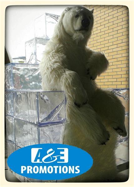 Grote foto ijsbeer bodvar in ijstroon huren antwerpen gent diversen kerst