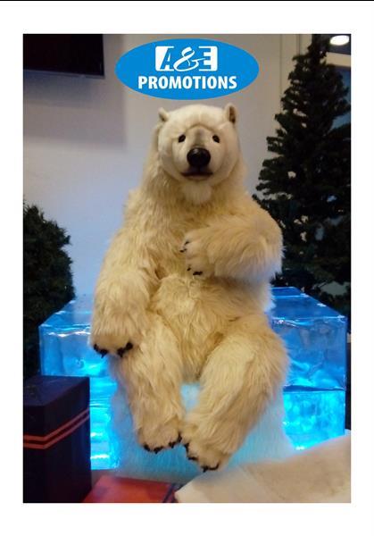 Grote foto huur ijsbeer bewegend brugge gent luik diensten en vakmensen themafeestjes