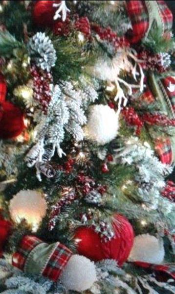 Grote foto levering kerstbomen afbeeldingen kerstboom diversen versiering
