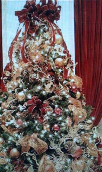 Grote foto levering kerstbomen afbeeldingen kerstboom diversen versiering