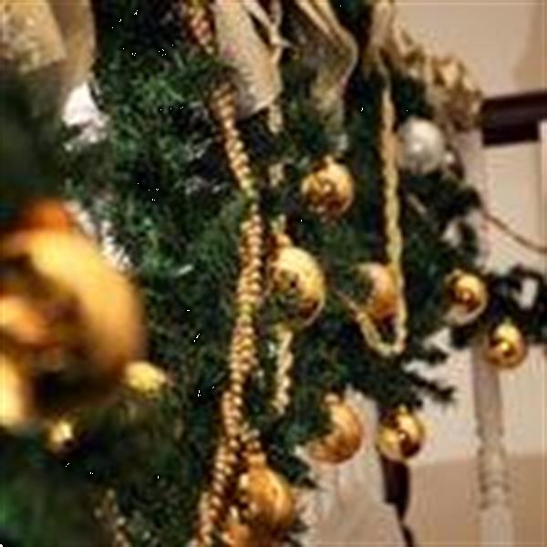 Grote foto afbeeldingen versierde kerstbomen w geleverd... diensten en vakmensen kerst