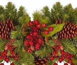 Grote foto levering kerstboom afbeeldingen versieringen... diensten en vakmensen versiering