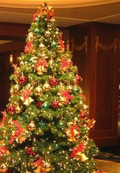 Grote foto versierde kerstbomen vr openbare gebouwen geleverd diversen versiering