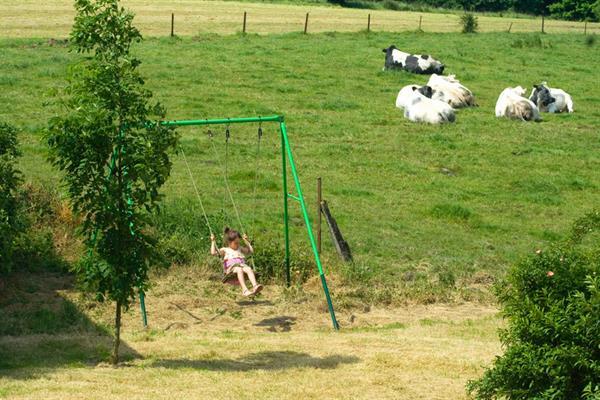 Grote foto vakantiehuis voor 8p met zwembad en visvijver vakantie belgi