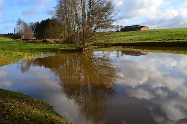 Grote foto vakantiehuis voor 8p met zwembad en visvijver vakantie belgi