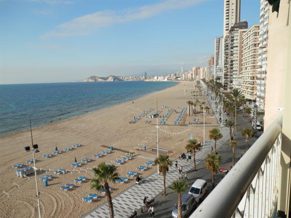 Grote foto aanbieding appartement benidorm vakantie spanje