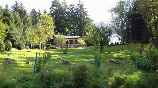 Grote foto paddockhuis wahala voor mens en dier vakantie belgi