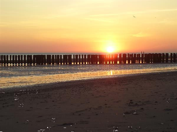 Grote foto slaapstrandhuisje strandhuisje slapen op strand vakantie nederland zuid