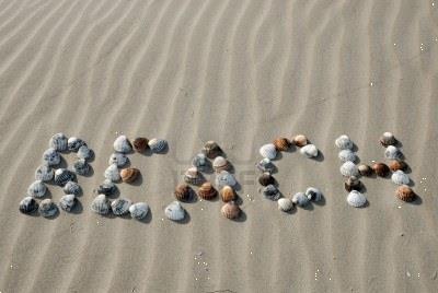 Grote foto slaapstrandhuisje strandhuisje slapen op strand vakantie nederland zuid