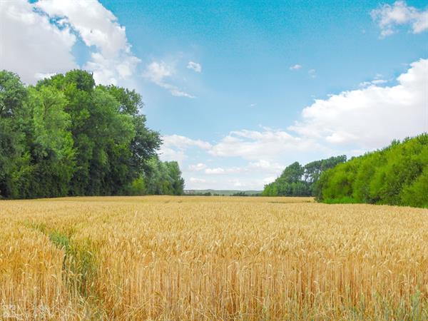 Grote foto 22 persoons groepsaccommodatie 5 aan de zeeuwse kust te huur vakantie overige vakantiewoningen huren